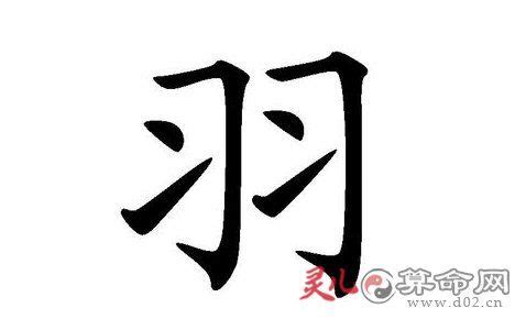 羽 名字